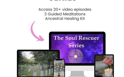 The Soul Rescuer Series